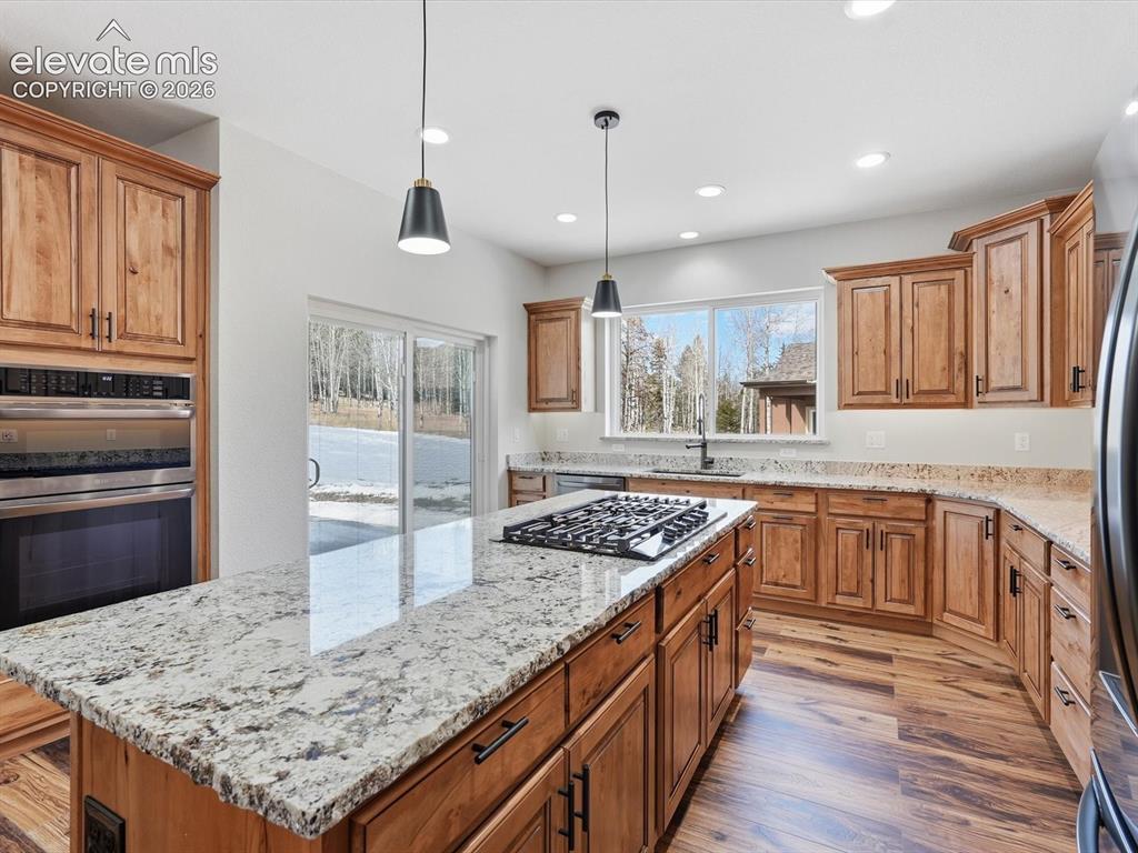 1309 Stone Ridge Drive Woodland Park CO 80863