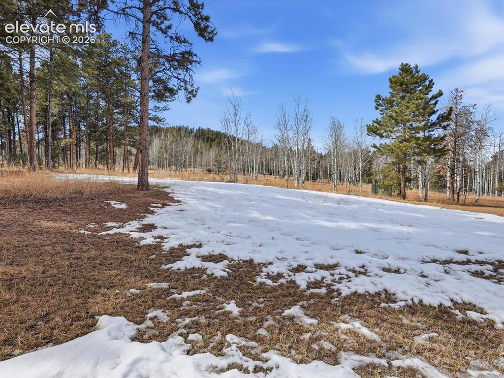 1309 Stone Ridge Drive Woodland Park CO 80863