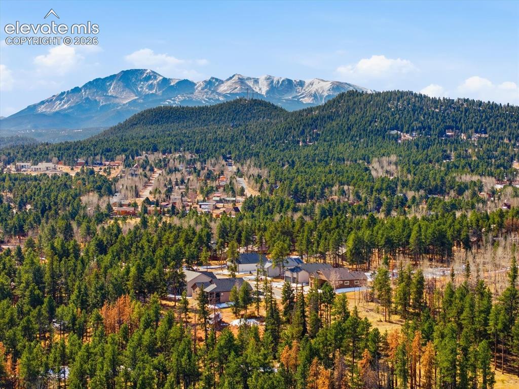 1309 Stone Ridge Drive Woodland Park CO 80863
