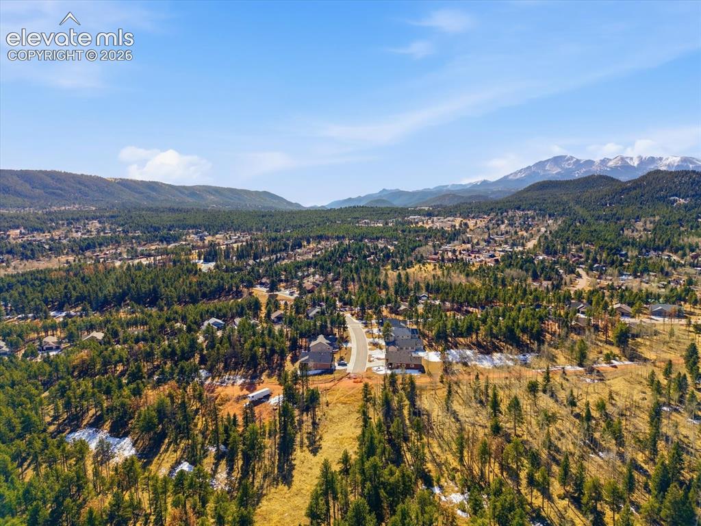 1309 Stone Ridge Drive Woodland Park CO 80863