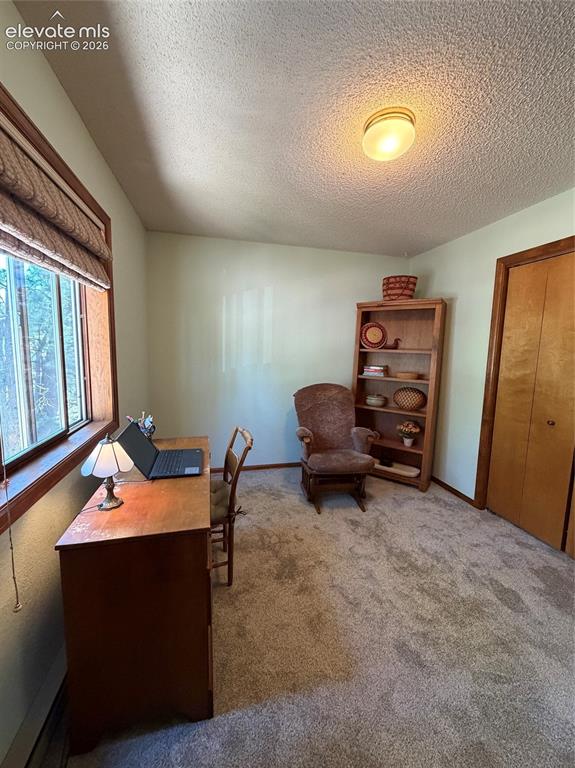 17730 Grama Ridge Road Colorado Springs CO 80908