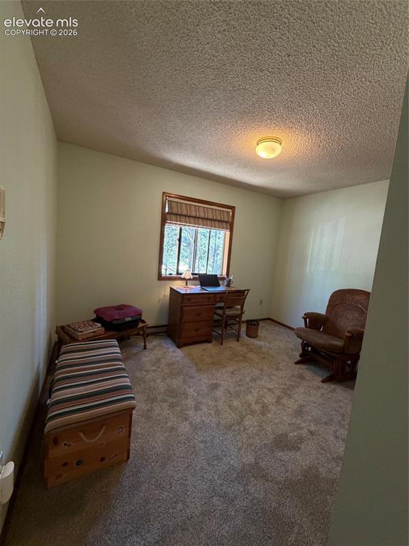 17730 Grama Ridge Road Colorado Springs CO 80908