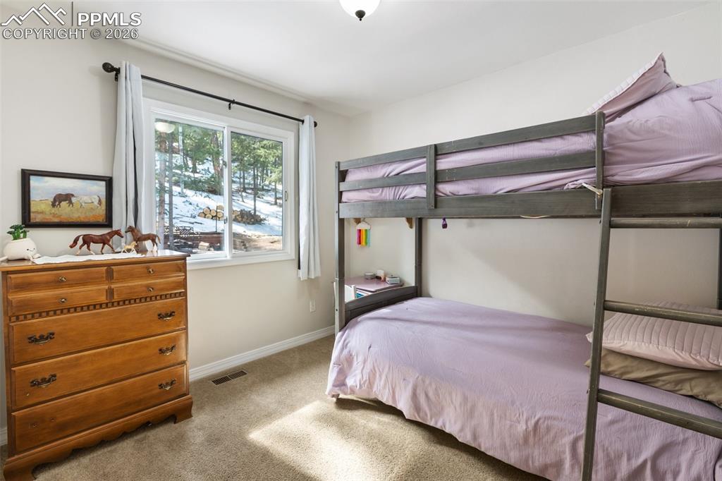 2865 Sunnywood Avenue Woodland Park CO 80863