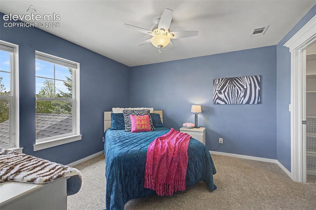 2455 Willow Glen Drive Colorado Springs CO 80920