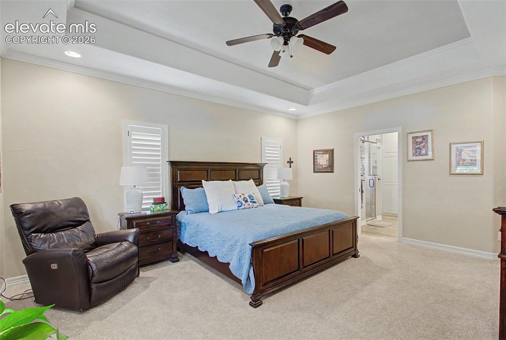16681 Curled Oak Drive Monument CO 80132