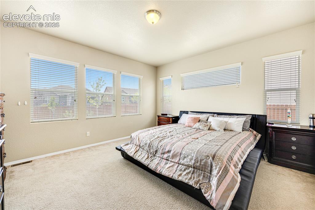 12659 Mt Antero Drive Peyton CO 80831