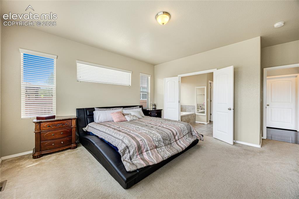 12659 Mt Antero Drive Peyton CO 80831