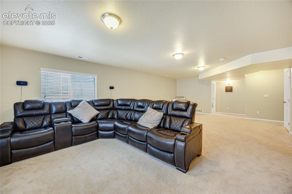 12659 Mt Antero Drive Peyton CO 80831