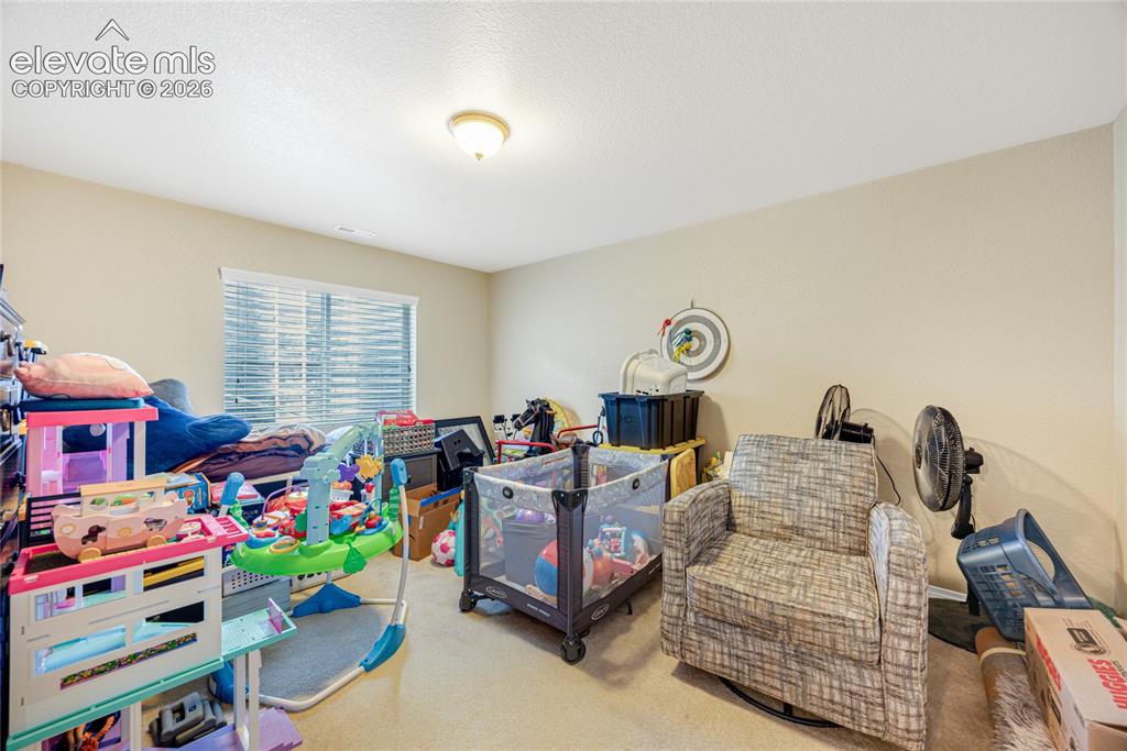 12659 Mt Antero Drive Peyton CO 80831
