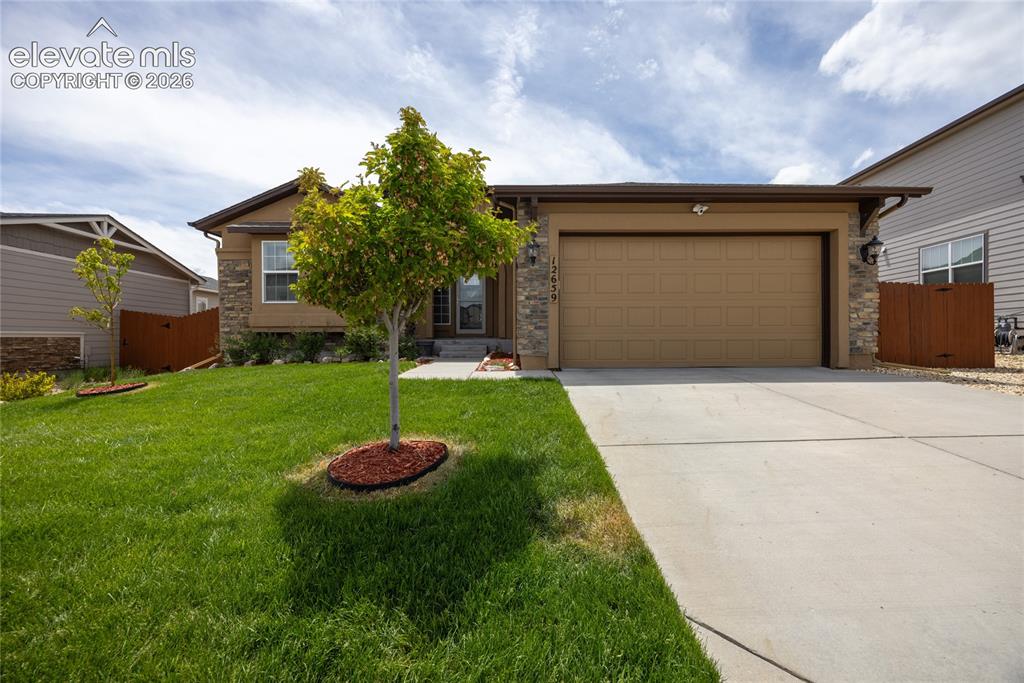 12659 Mt Antero Drive Peyton CO 80831