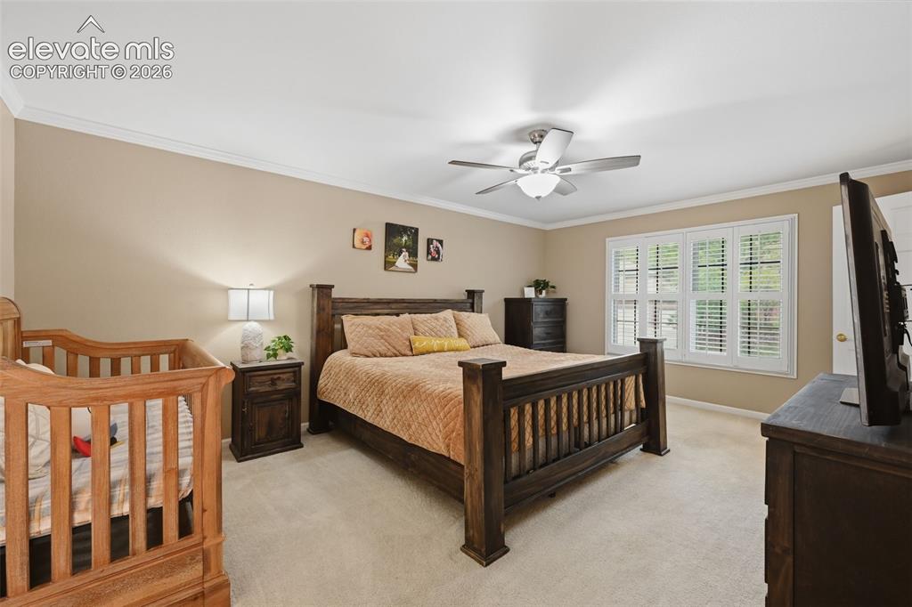 6914 Oak Valley Drive Colorado Springs CO 80919