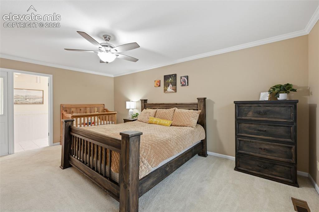6914 Oak Valley Drive Colorado Springs CO 80919