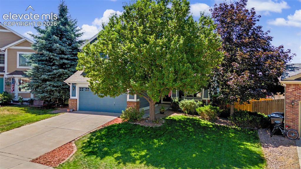 7127 Cowgirl Way Colorado Springs CO 80922