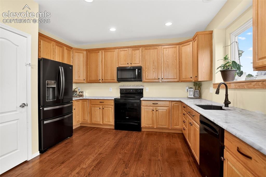 6973 Wood Lily Drive Colorado Springs CO 80923