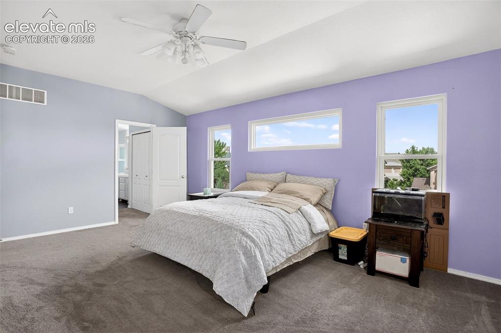 6973 Wood Lily Drive Colorado Springs CO 80923