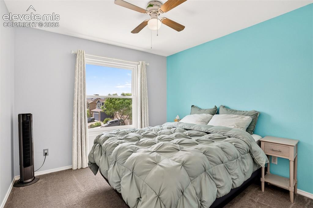 6973 Wood Lily Drive Colorado Springs CO 80923