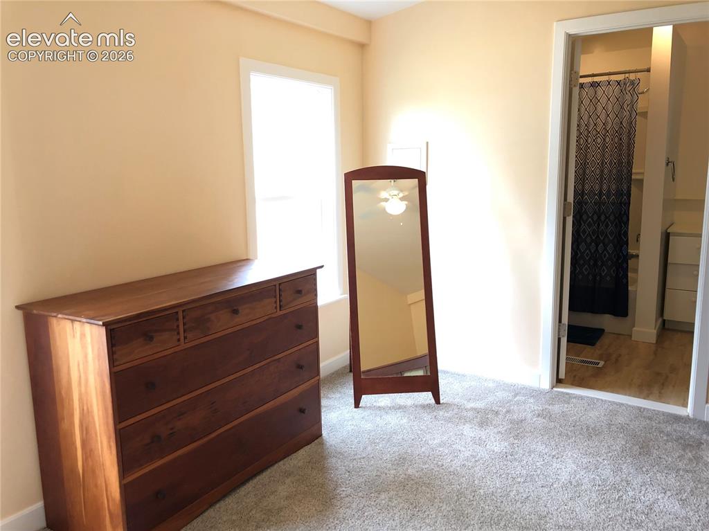 169 Daisy Street Woodland Park CO 80863