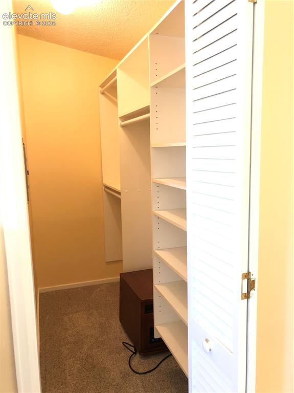 169 Daisy Street Woodland Park CO 80863