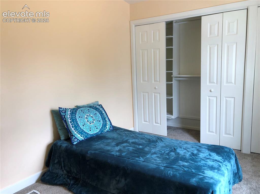 169 Daisy Street Woodland Park CO 80863
