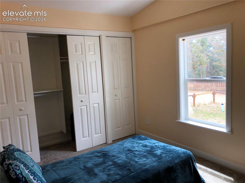 169 Daisy Street Woodland Park CO 80863