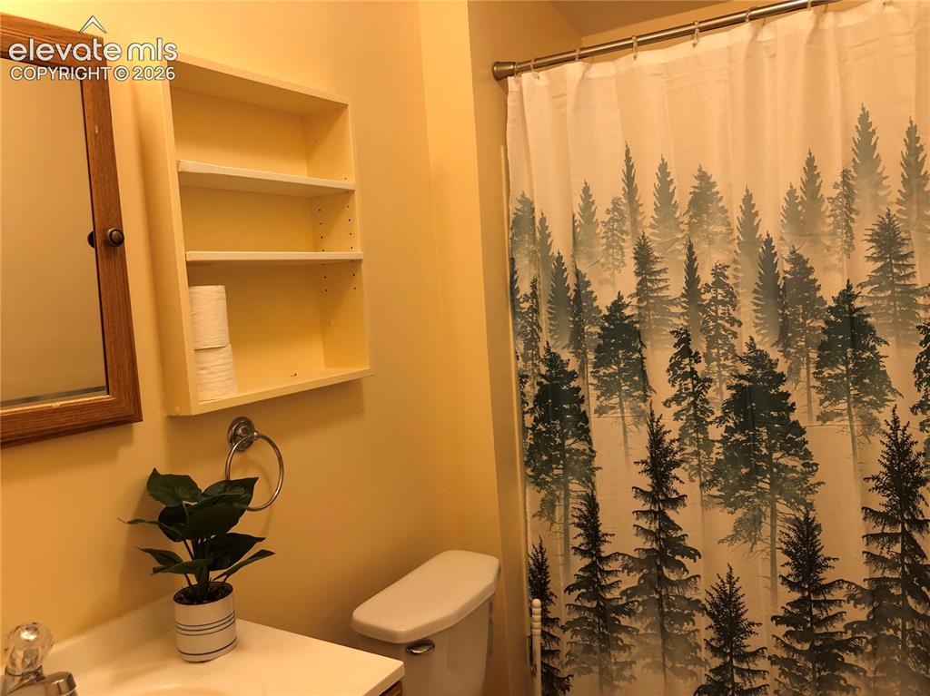 169 Daisy Street Woodland Park CO 80863