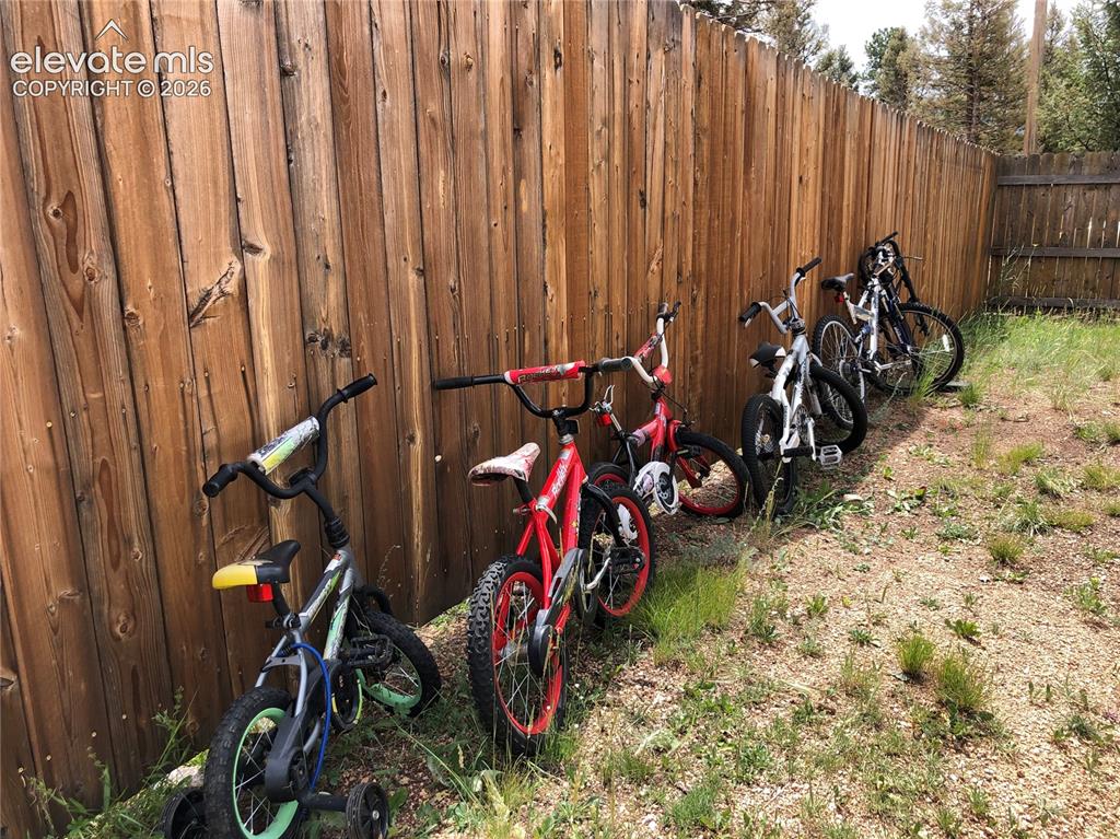 169 Daisy Street Woodland Park CO 80863