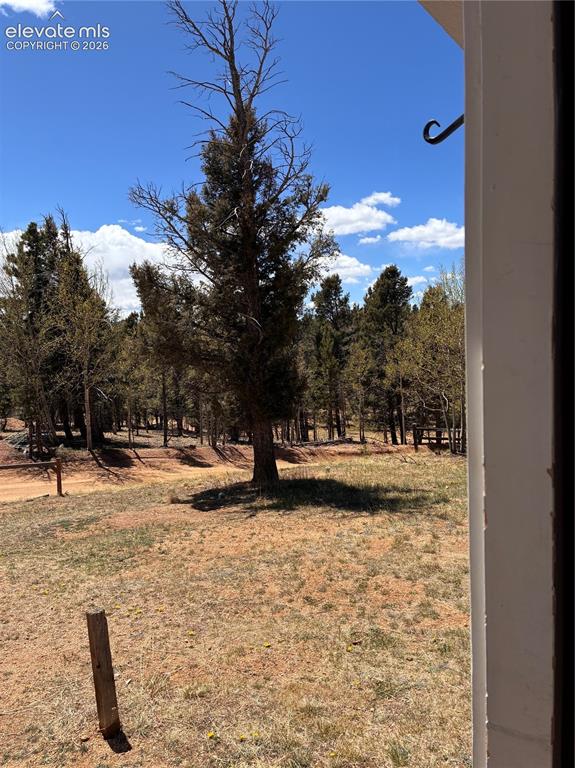 169 Daisy Street Woodland Park CO 80863