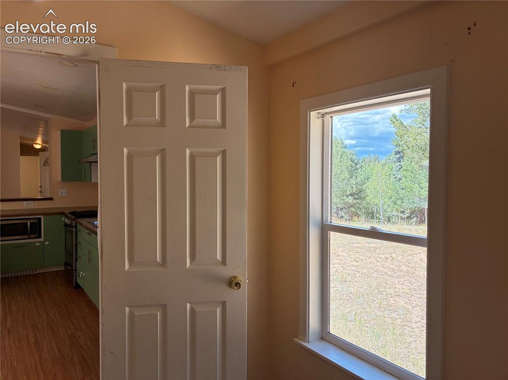 169 Daisy Street Woodland Park CO 80863