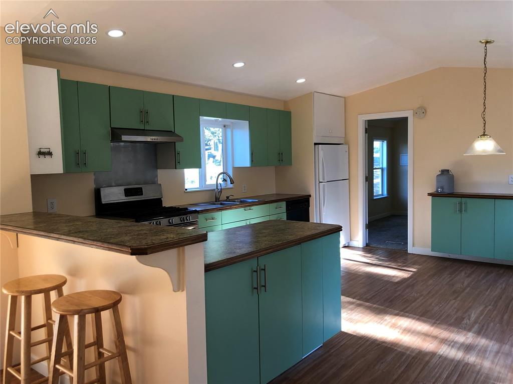 169 Daisy Street Woodland Park CO 80863