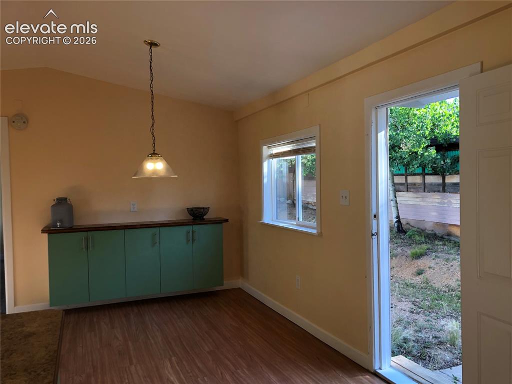 169 Daisy Street Woodland Park CO 80863