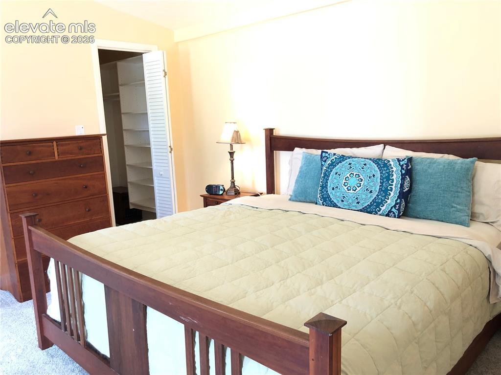 169 Daisy Street Woodland Park CO 80863