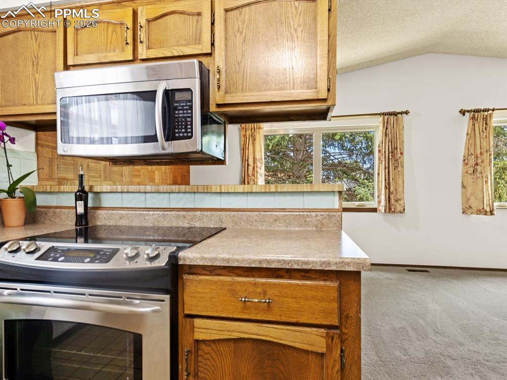 1110 Branding Iron Drive Colorado Springs CO 80915