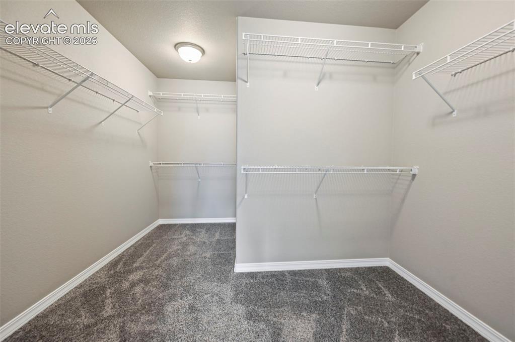 6007 Wendy Stream Way Colorado Springs CO 80924