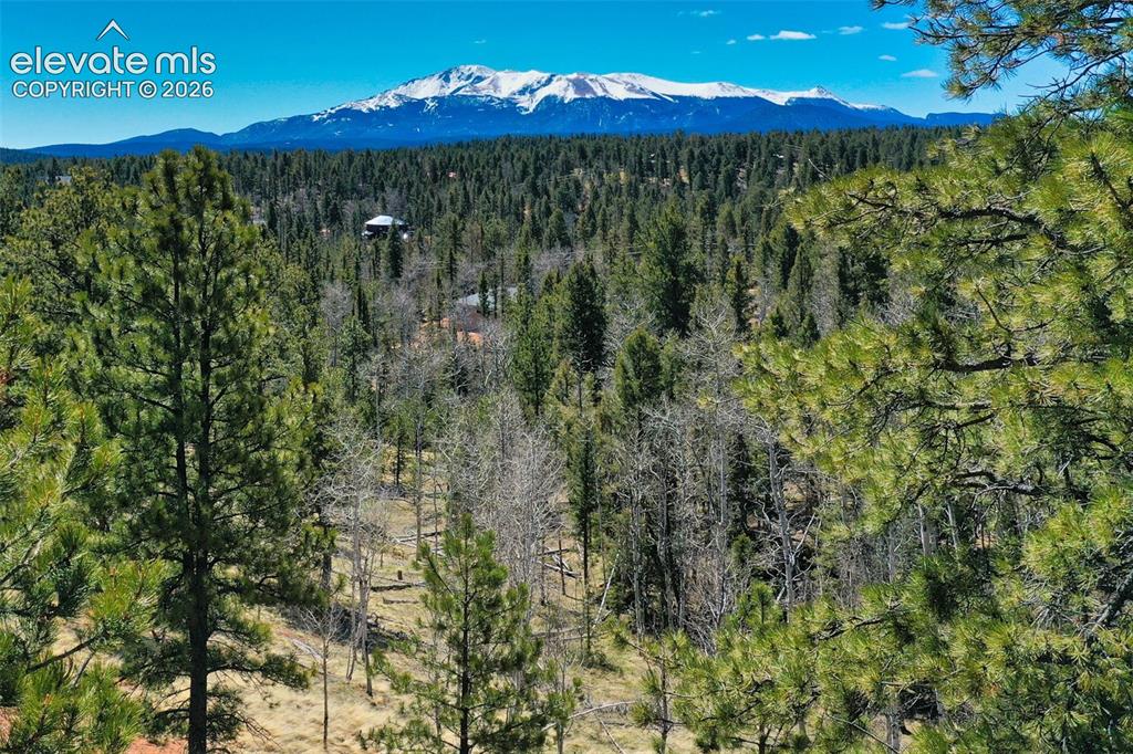 5542 North Road Divide CO 80814