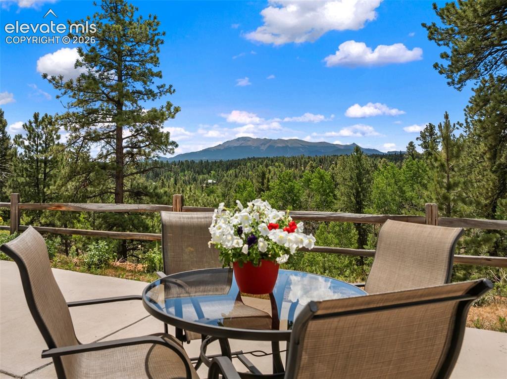 5542 North Road Divide CO 80814