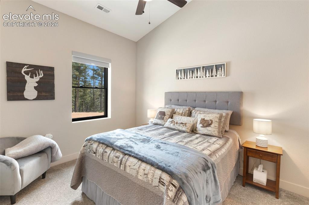 5542 North Road Divide CO 80814
