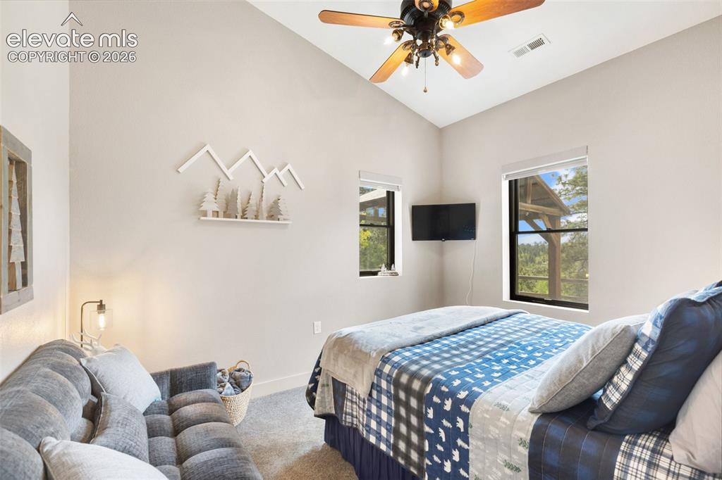 5542 North Road Divide CO 80814