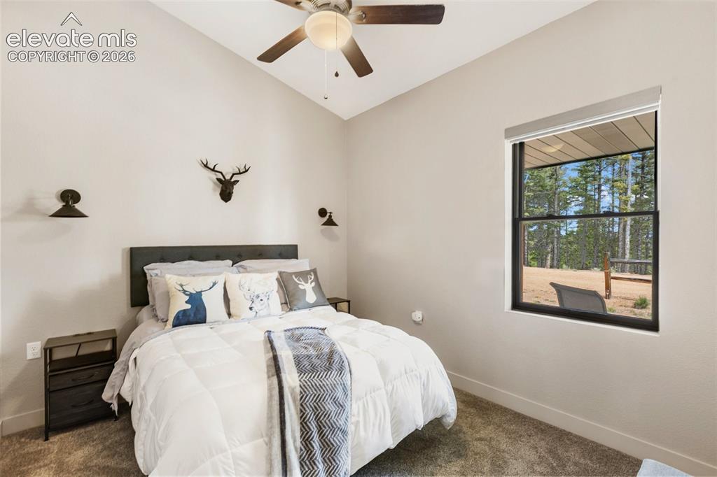 5542 North Road Divide CO 80814
