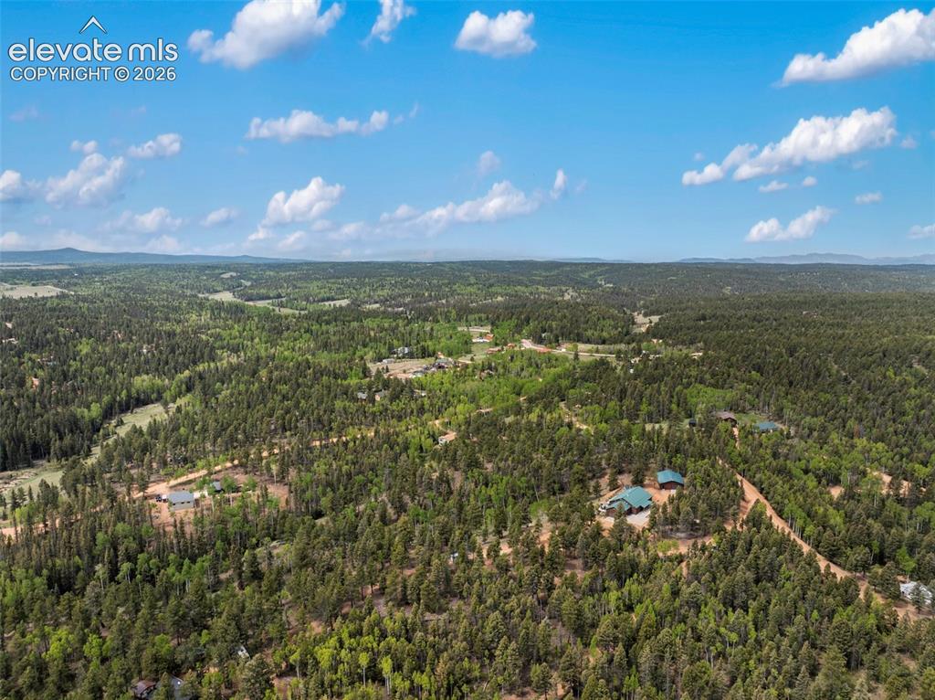 5542 North Road Divide CO 80814