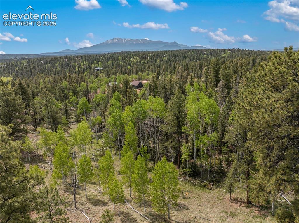 5542 North Road Divide CO 80814
