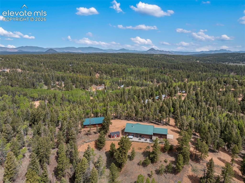 5542 North Road Divide CO 80814