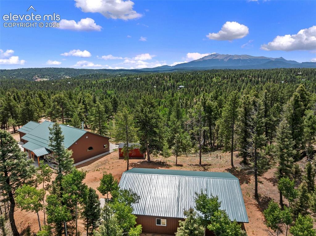 5542 North Road Divide CO 80814