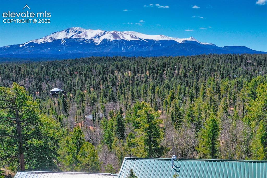 5542 North Road Divide CO 80814