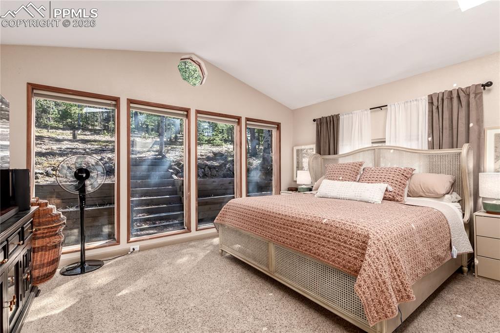 44 Anderson Road Florissant CO 80816