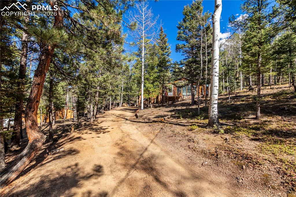 44 Anderson Road Florissant CO 80816