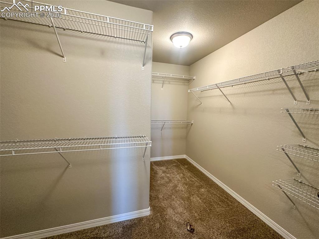 8227 Henzlee Place Falcon CO 80831