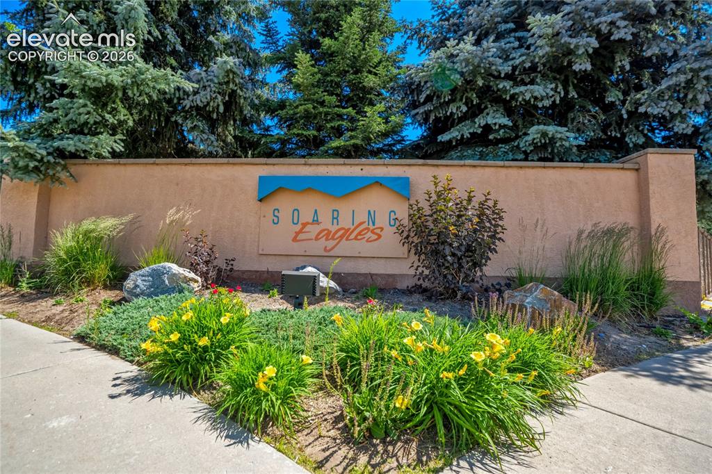 4886 Hawk Meadow Drive Colorado Springs CO 80916