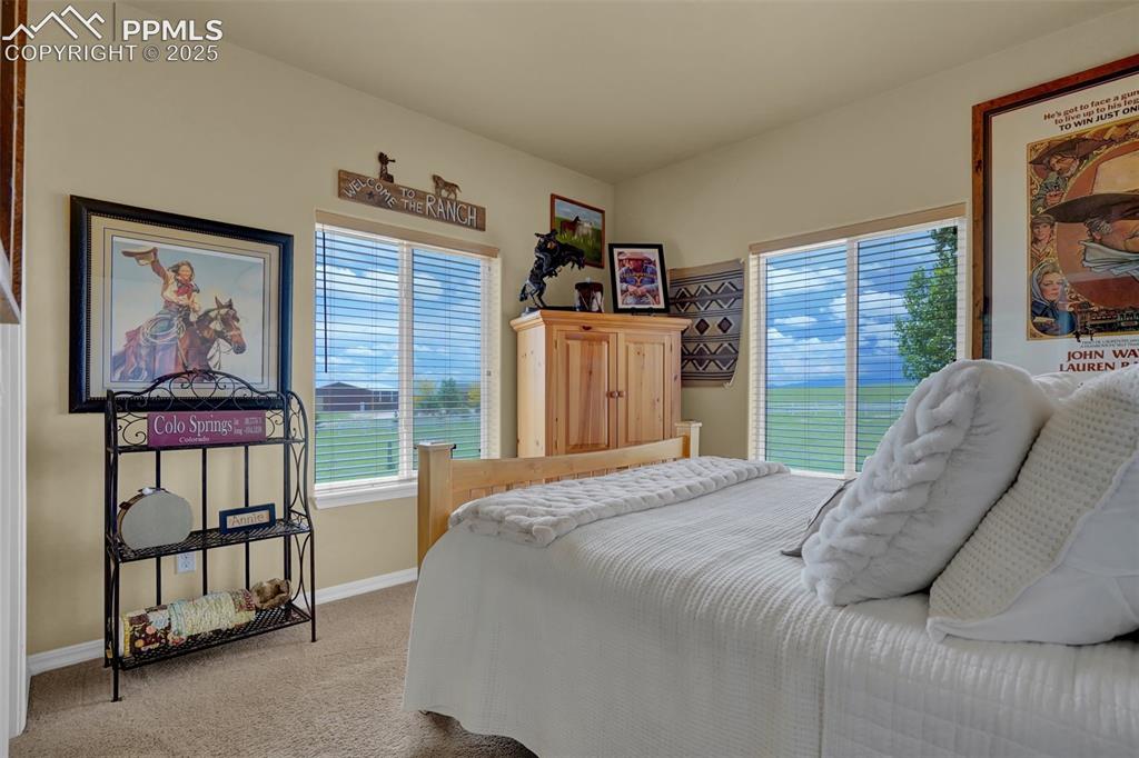3650 Hare Haven Lane Colorado Springs CO 80930