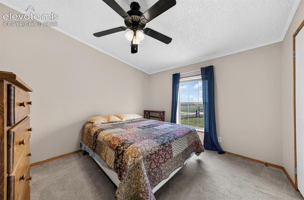 755 High Prairie Point Calhan CO 80808
