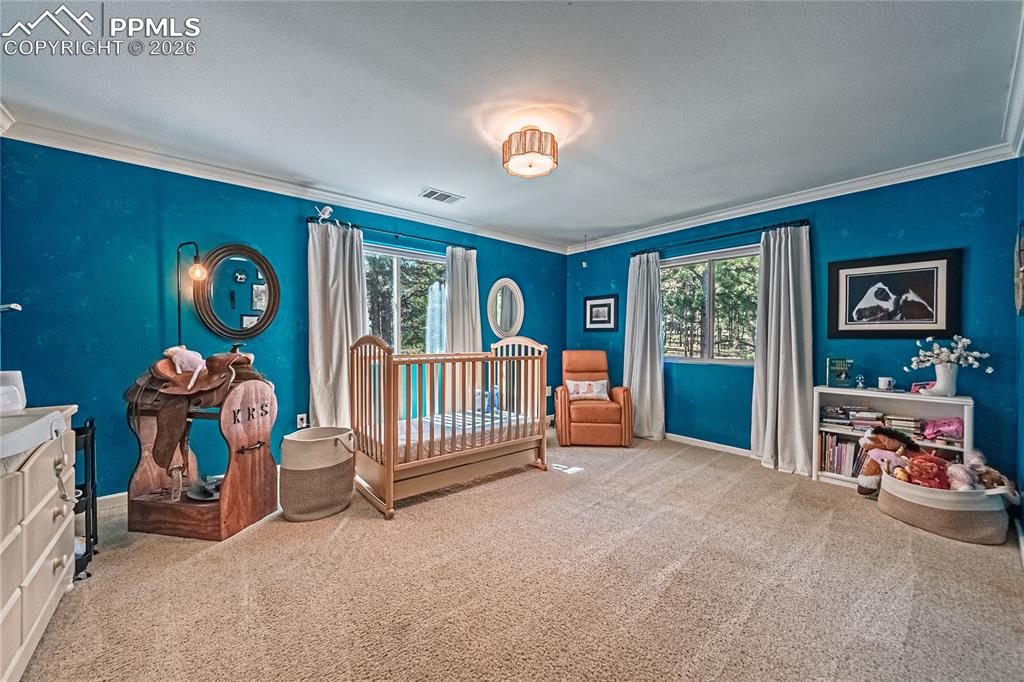 1210 Kenosha Drive Larkspur CO 80118